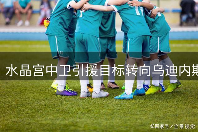 水晶宫中卫引援目标转向乌迪内斯主力索莱